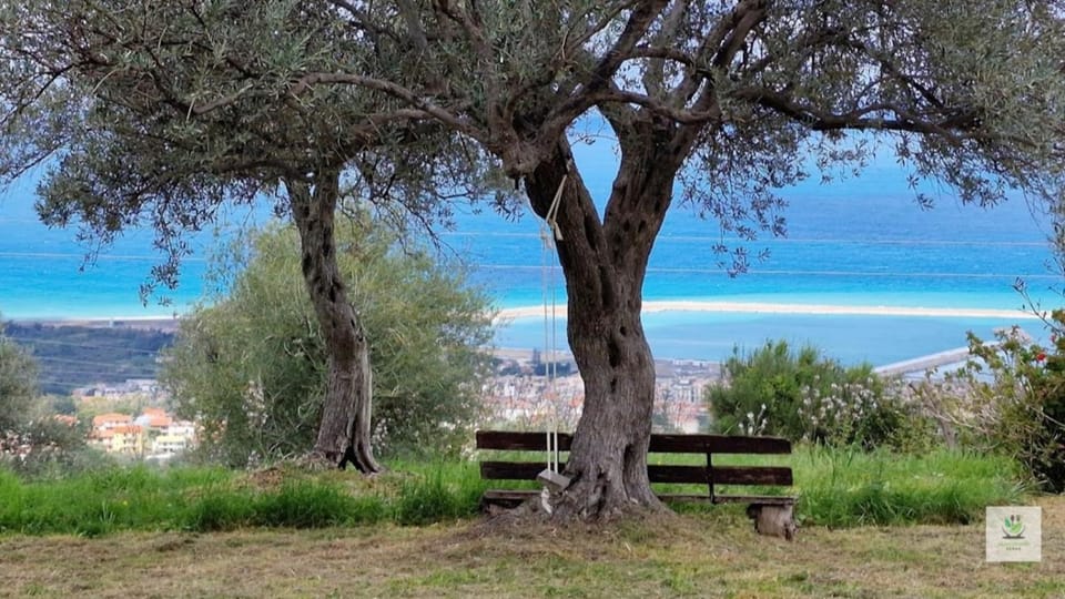 Natural landscape, Evening entertainment, Sea view