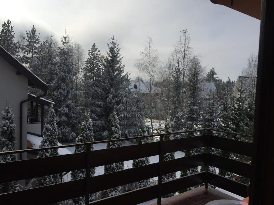 Apartments Dobra Vila Apartment in Zlatibor