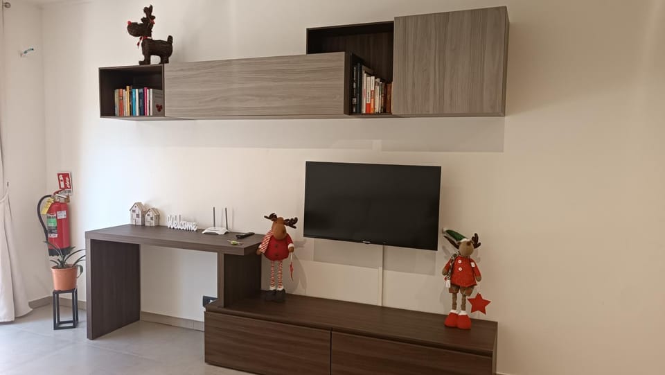 TV and multimedia