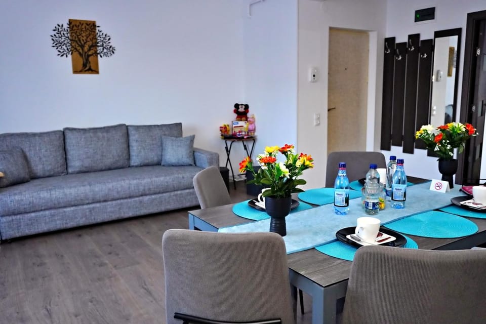 FLH - MIG Loft Sibiu Apartment in Sibiu