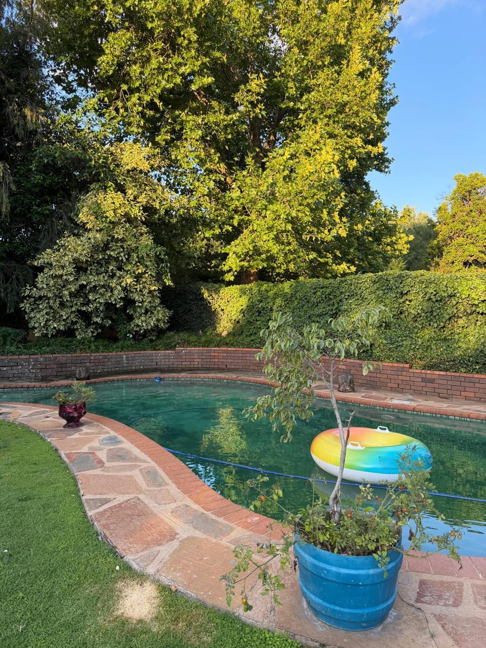 Swimming pool