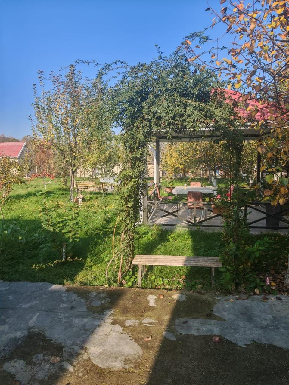 Natural landscape, Garden, Garden, Garden view