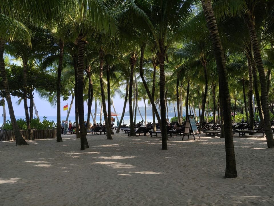 Beach, Beach, Diving, Diving