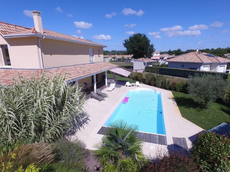 Garden, Swimming pool