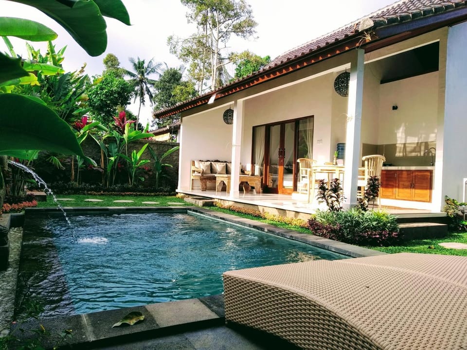 Property building, Garden, Swimming pool