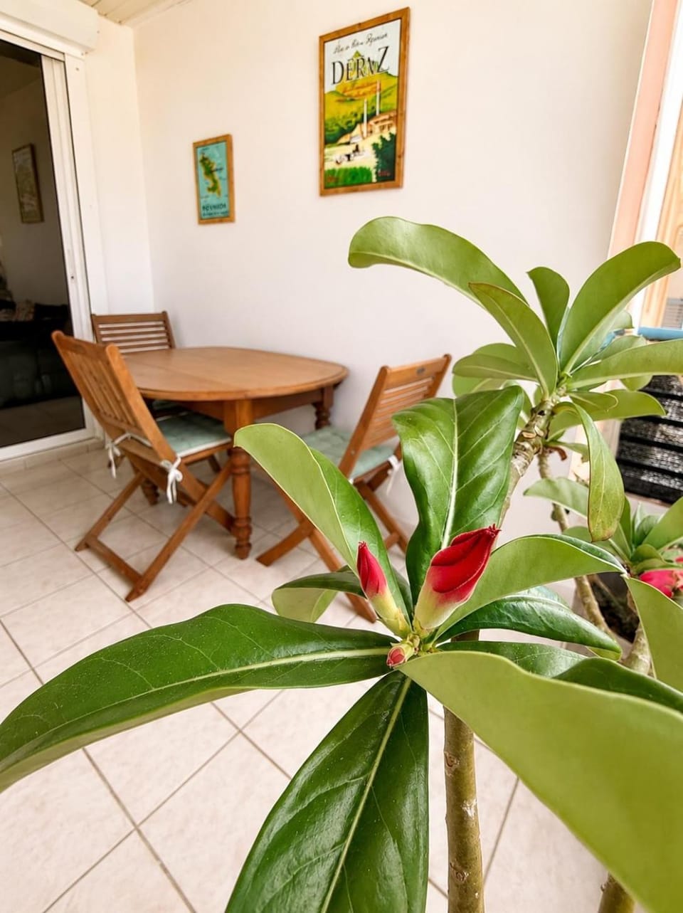 Patio, Dining area