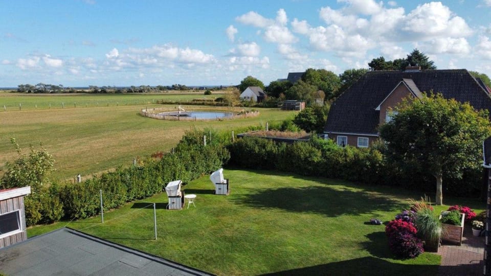 Natural landscape, Garden, Garden view