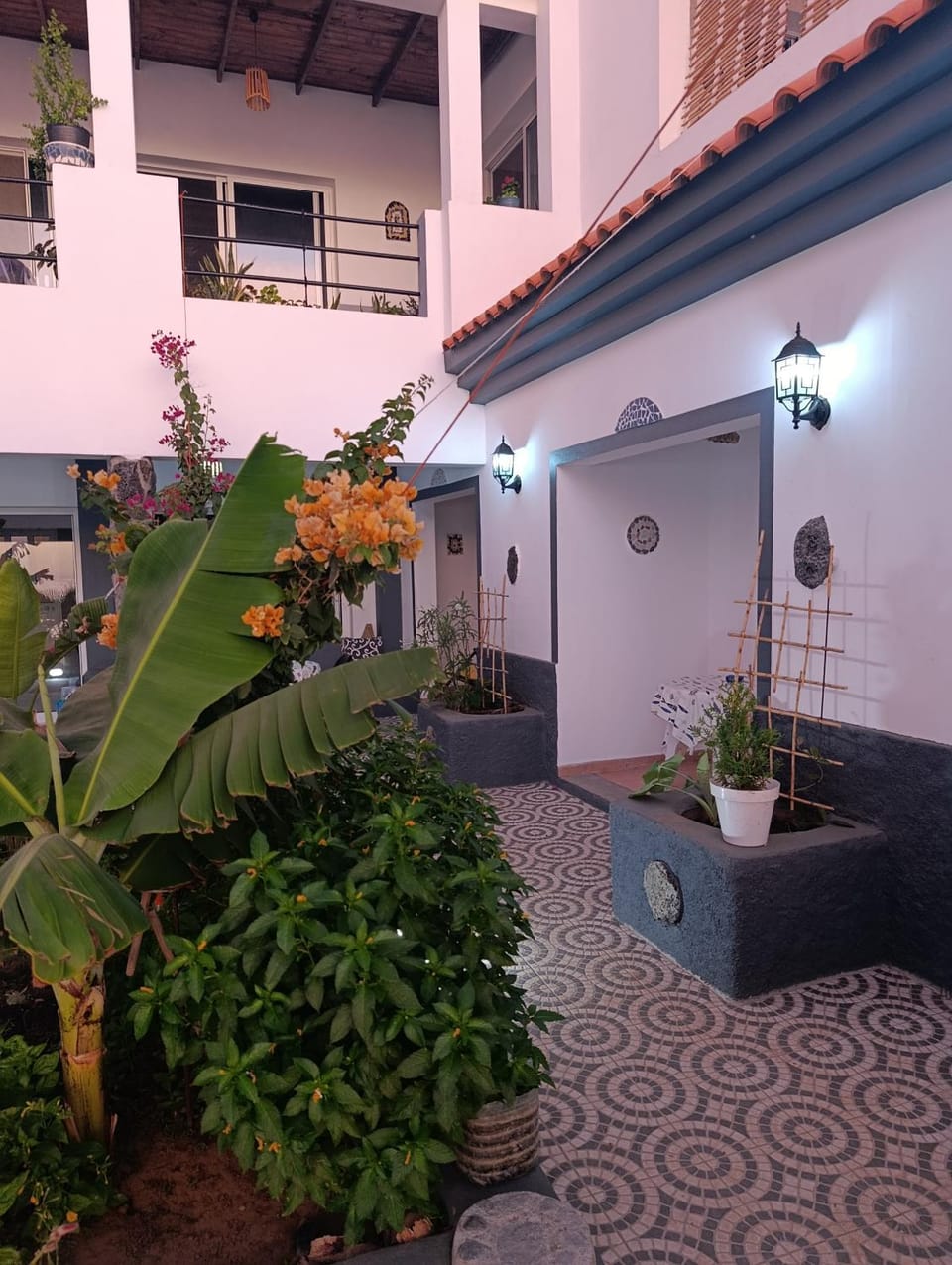Garden view