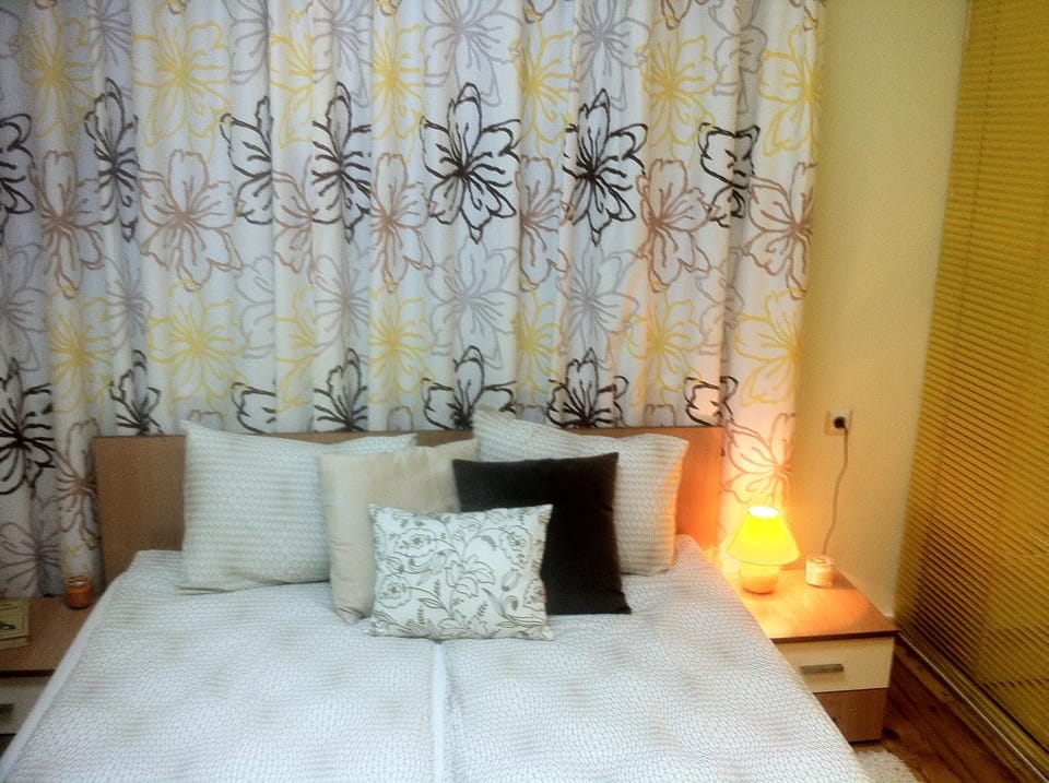 Gogol 2BR Apartment Apartment in Sofia