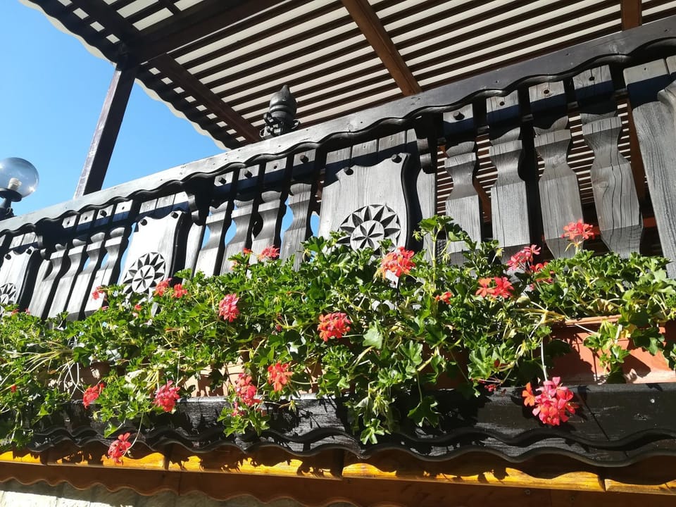 Spring, Day, Balcony/Terrace, Seating area, Street view