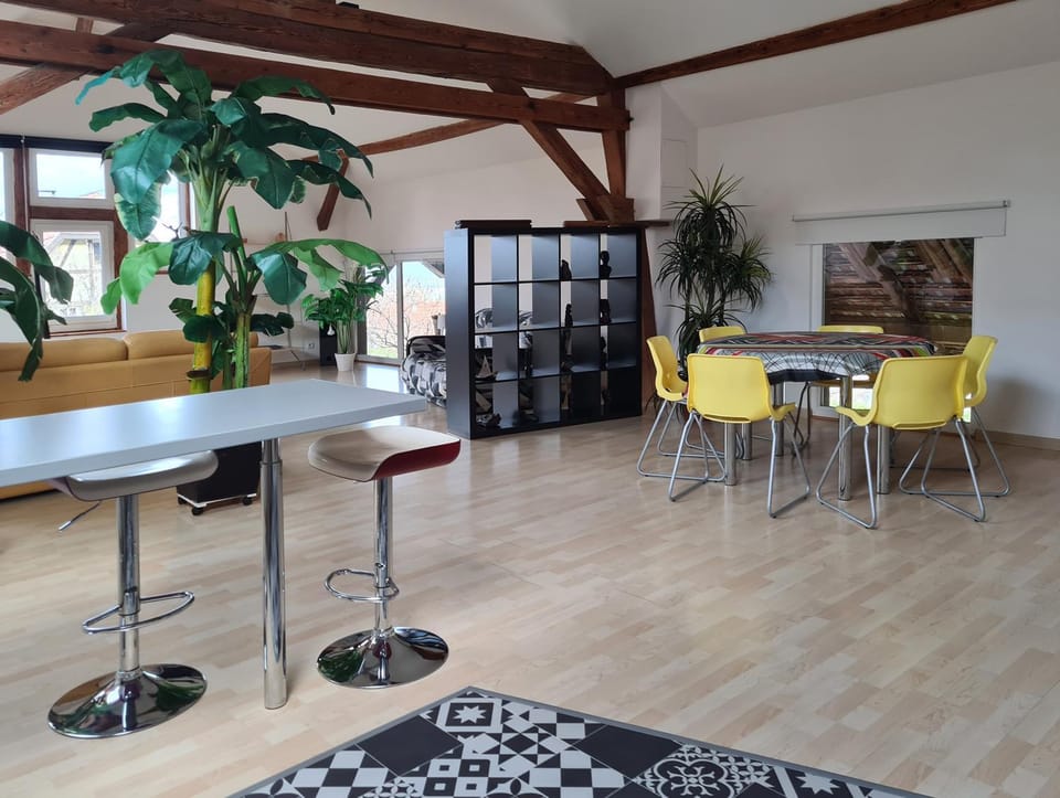 Kitchen or kitchenette, Living room, Dining area