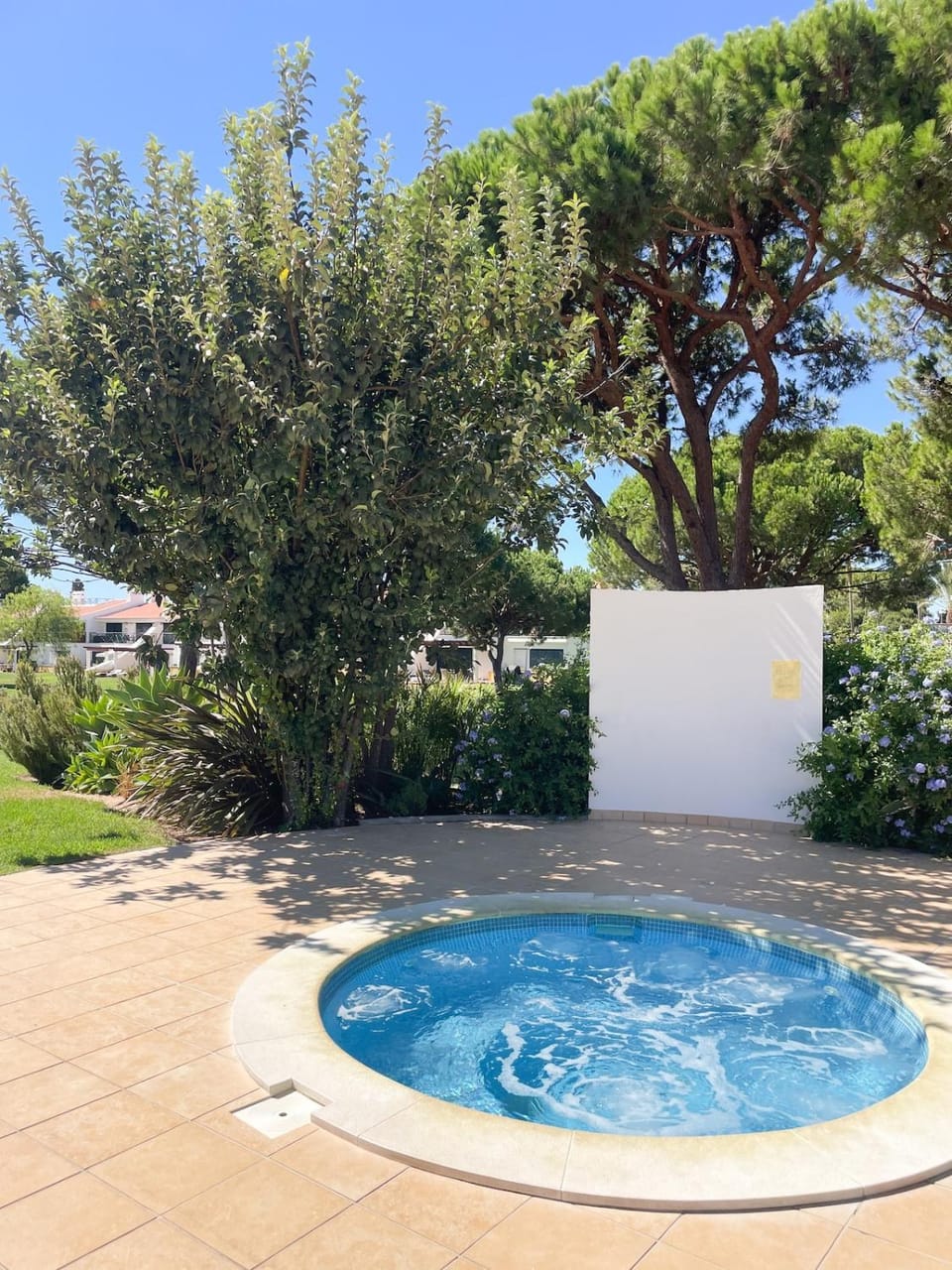 Natural landscape, Garden, Swimming pool