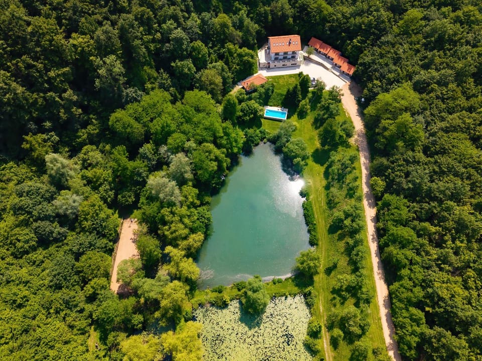 Natural landscape, Bird's eye view, Pool view, Swimming pool