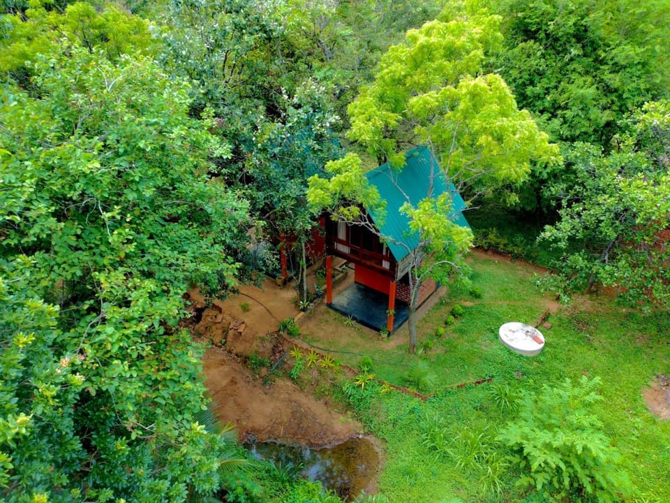 Garden, Garden view