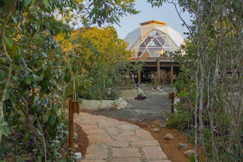 Property building, Day, Garden, Garden view