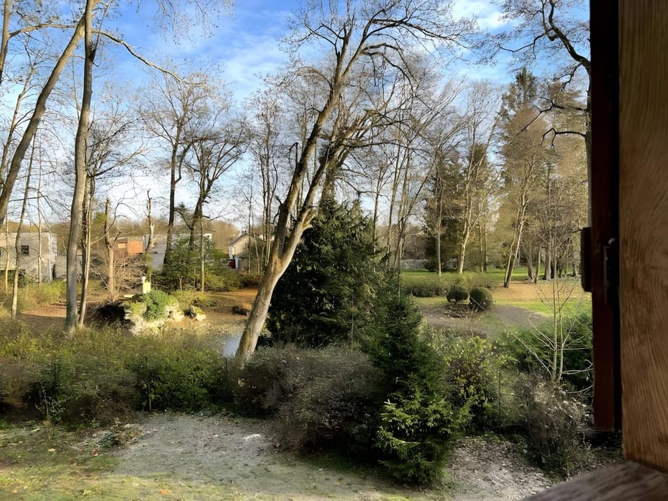 Natural landscape