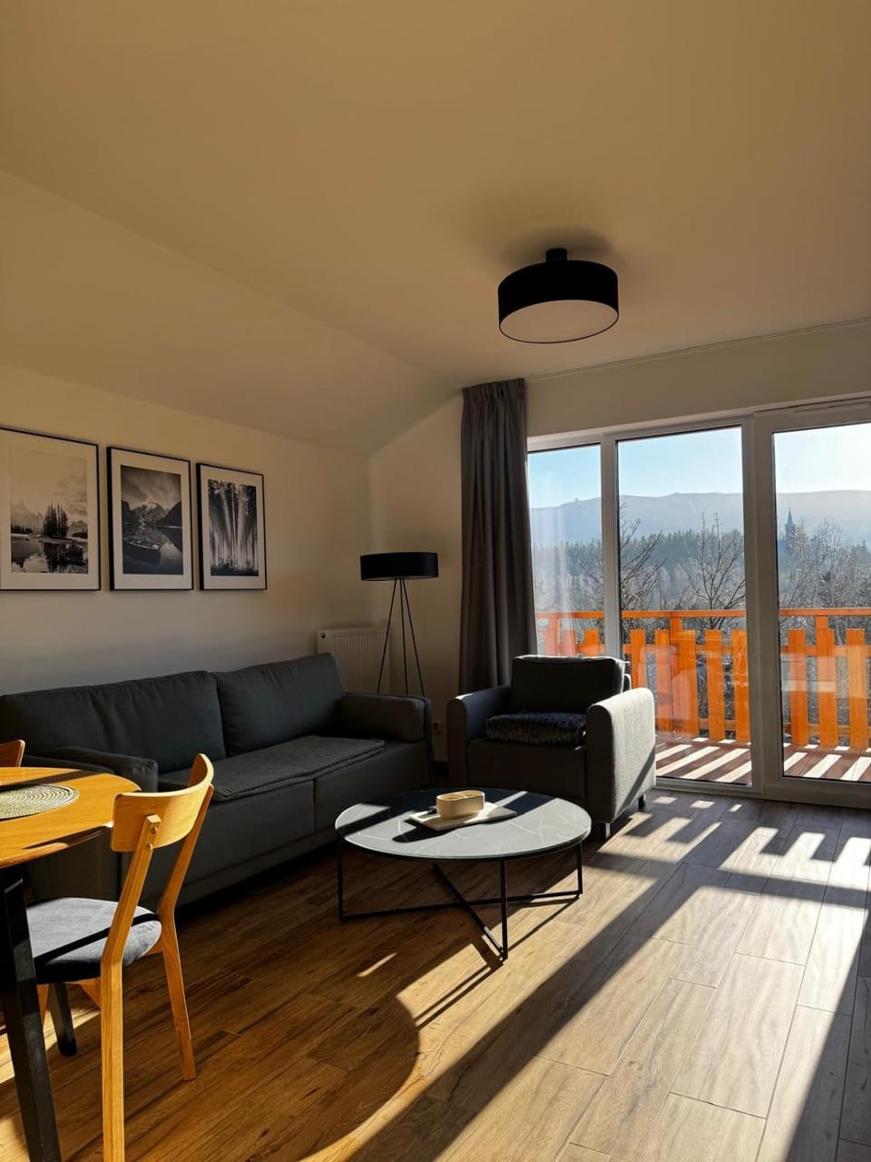 Living room, Mountain view