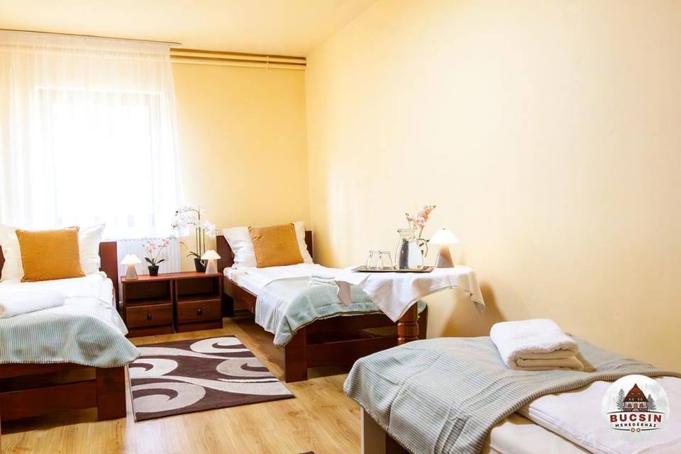Bucsin menedékház Bed and Breakfast in Romania
