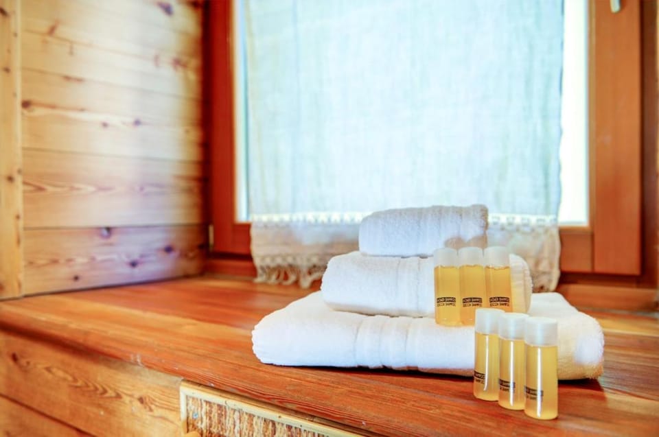 Genziana Apartment in Pré-Saint-Didier