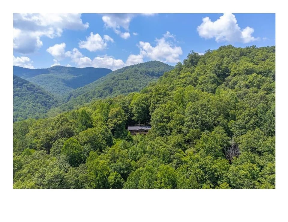 Mountain Retreat Fire Pit Hiking Trails BBQ House in Tennessee