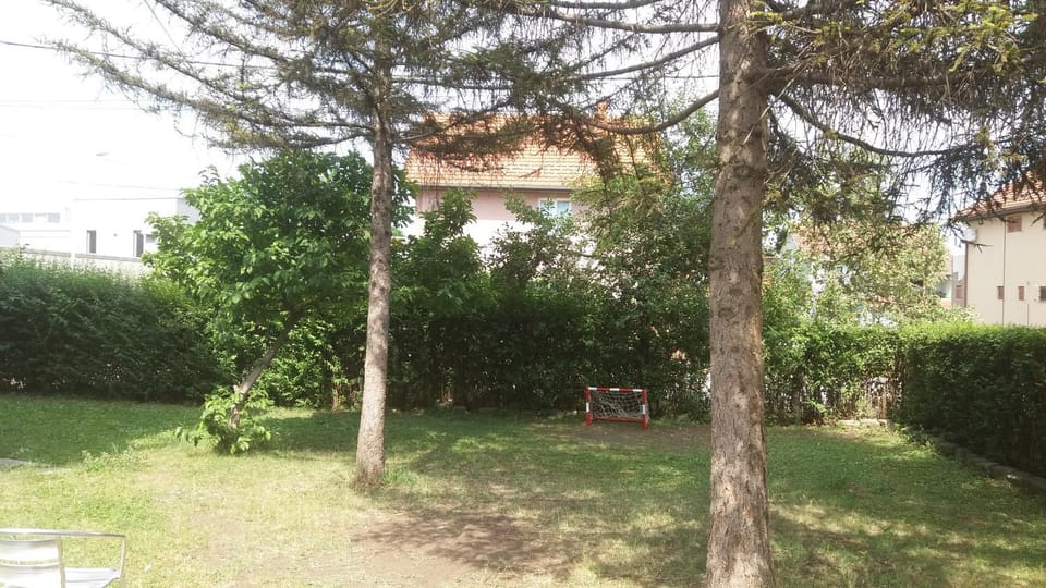 Garden view