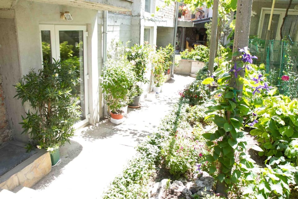 Garden, Internal: Not applicable to any particular room