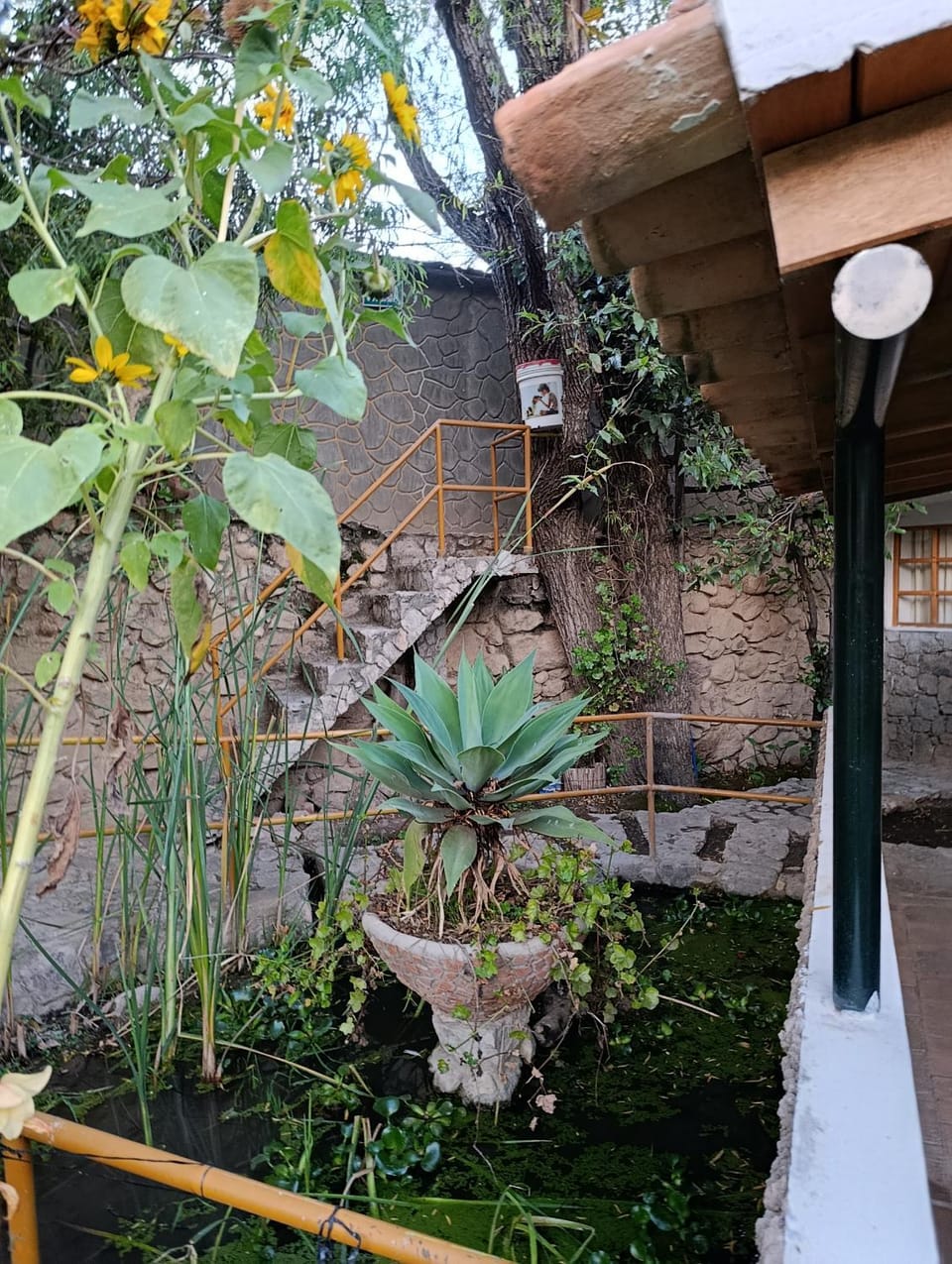 Qushi Shoncu Lodge Hotel in Ancash, Peru