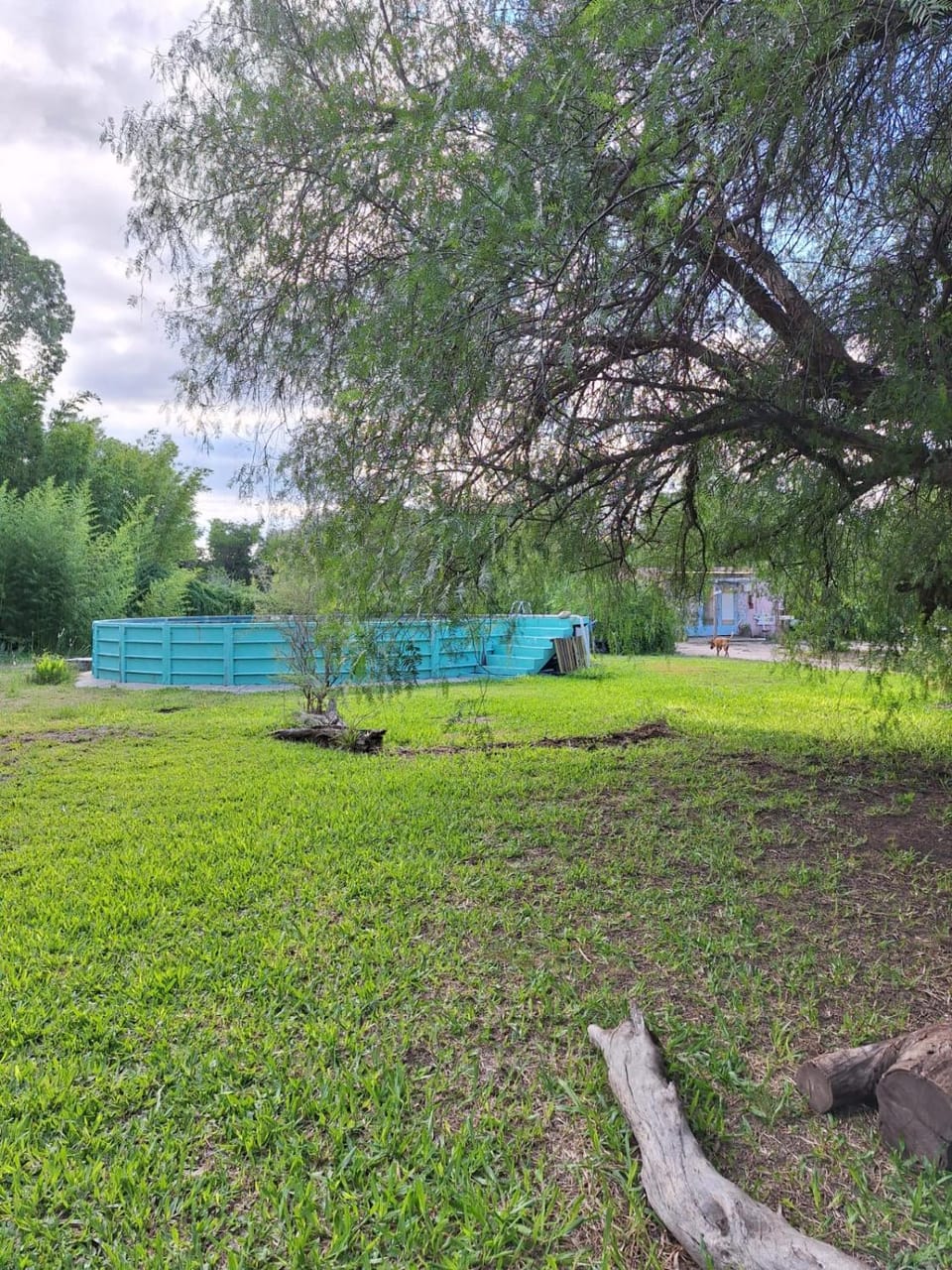 Garden, Garden view, Swimming pool