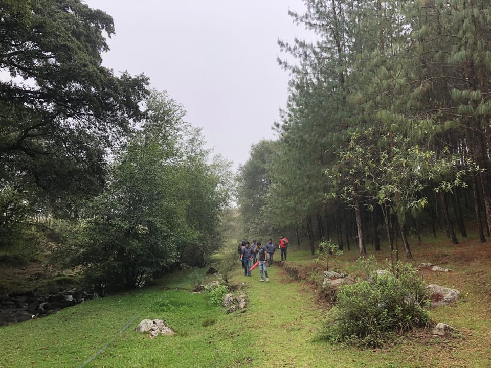 Hiking