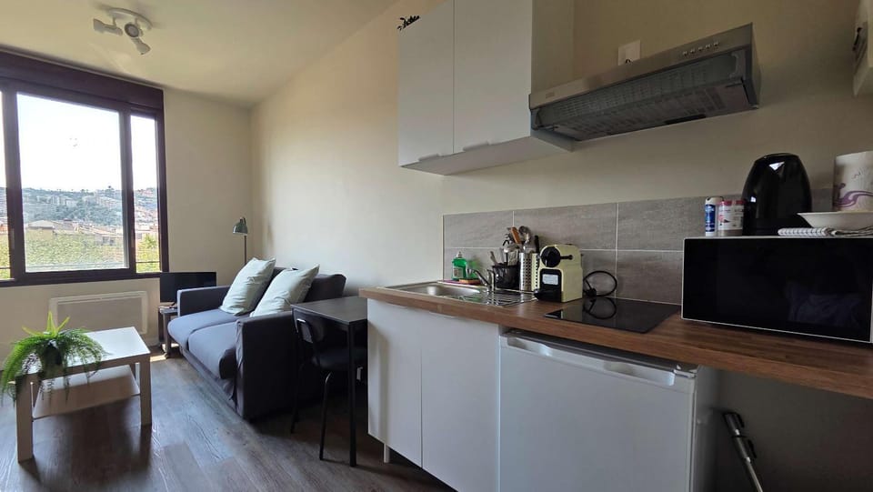 LX155 Roof terrace city center Mobility Lease Apartment in Nice