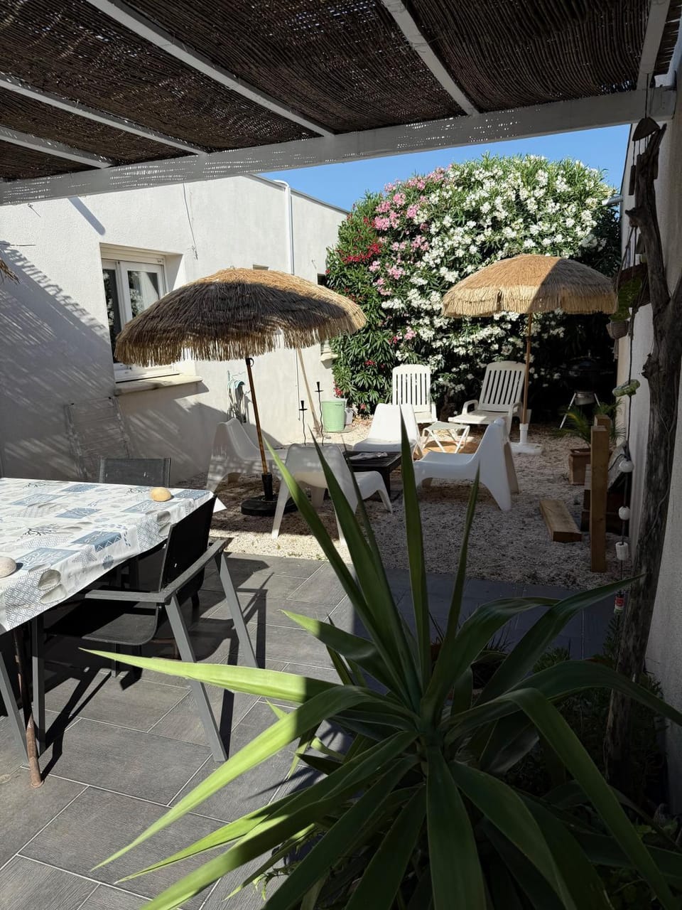 Patio, Dining area