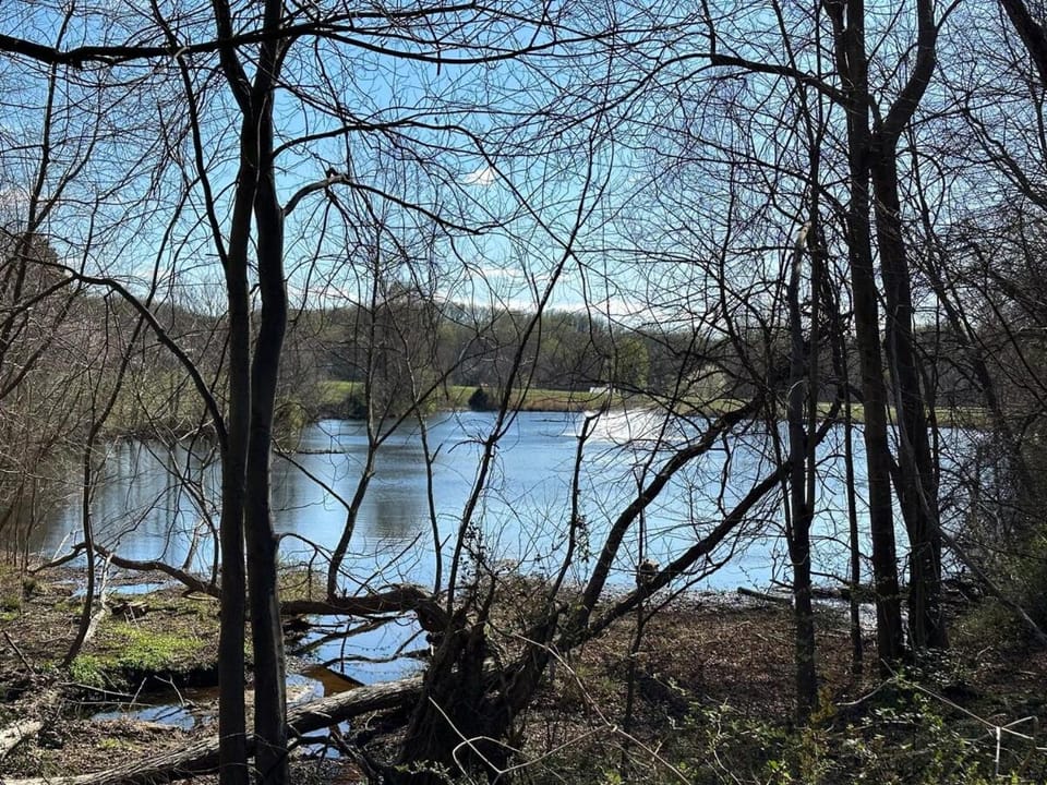 Nature Views & Home Office Apartment in White Oak