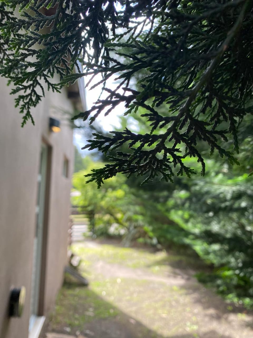 Natural landscape, Garden