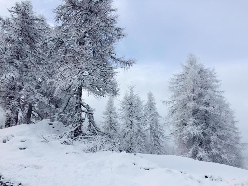 Natural landscape, Winter