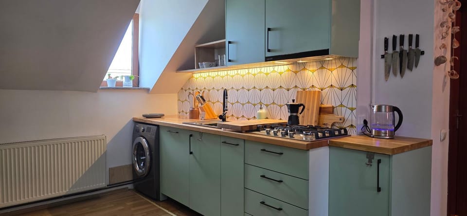 Kitchen or kitchenette, dishwasher, stove