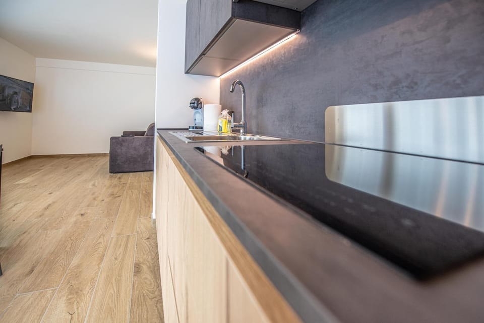 Kitchen or kitchenette, minibar, oven, pet friendly