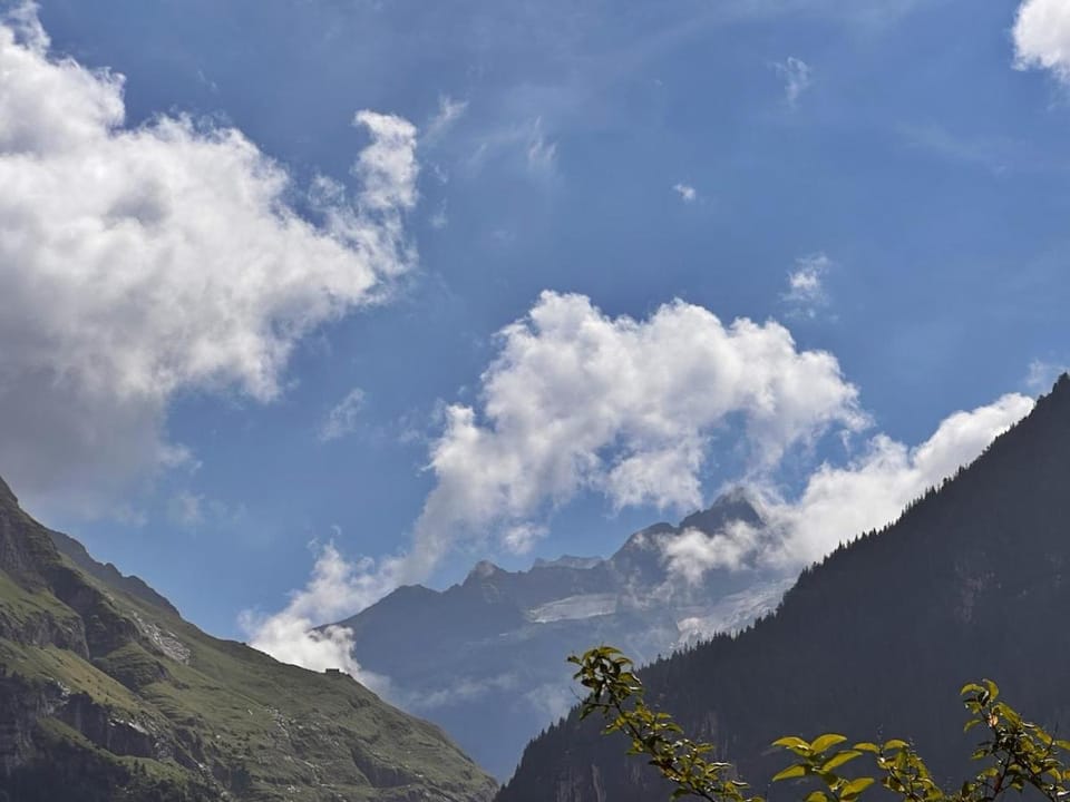 Wohnung Eiger Chalet Jasmine Apartment in Grindelwald