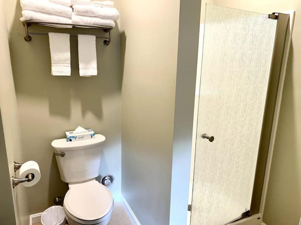 Shower, Toilet, Bathroom, towels