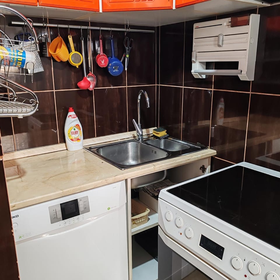 Kitchen or kitchenette, dishwasher, stove