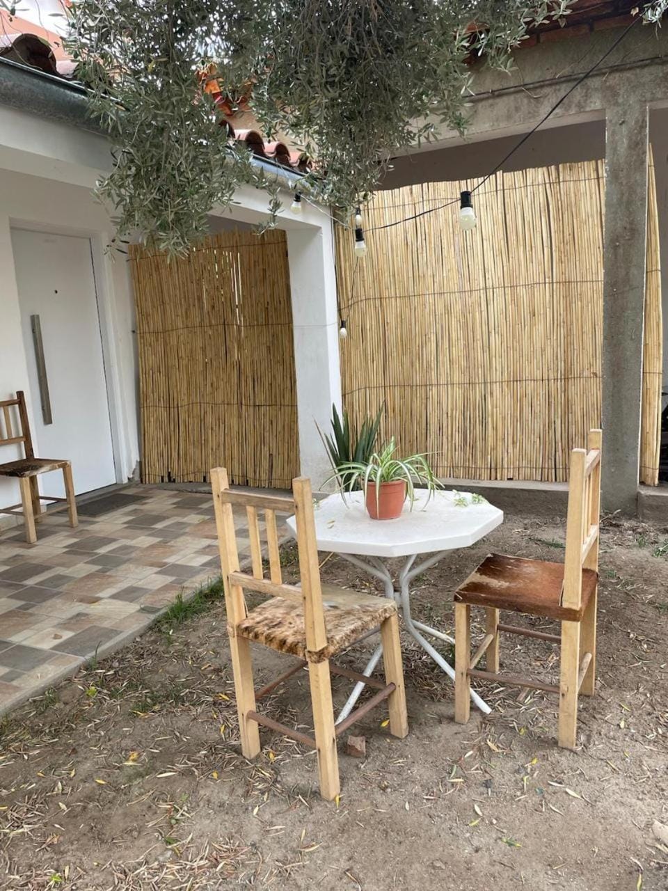 Los Olivos Apart Apartment in Cafayate