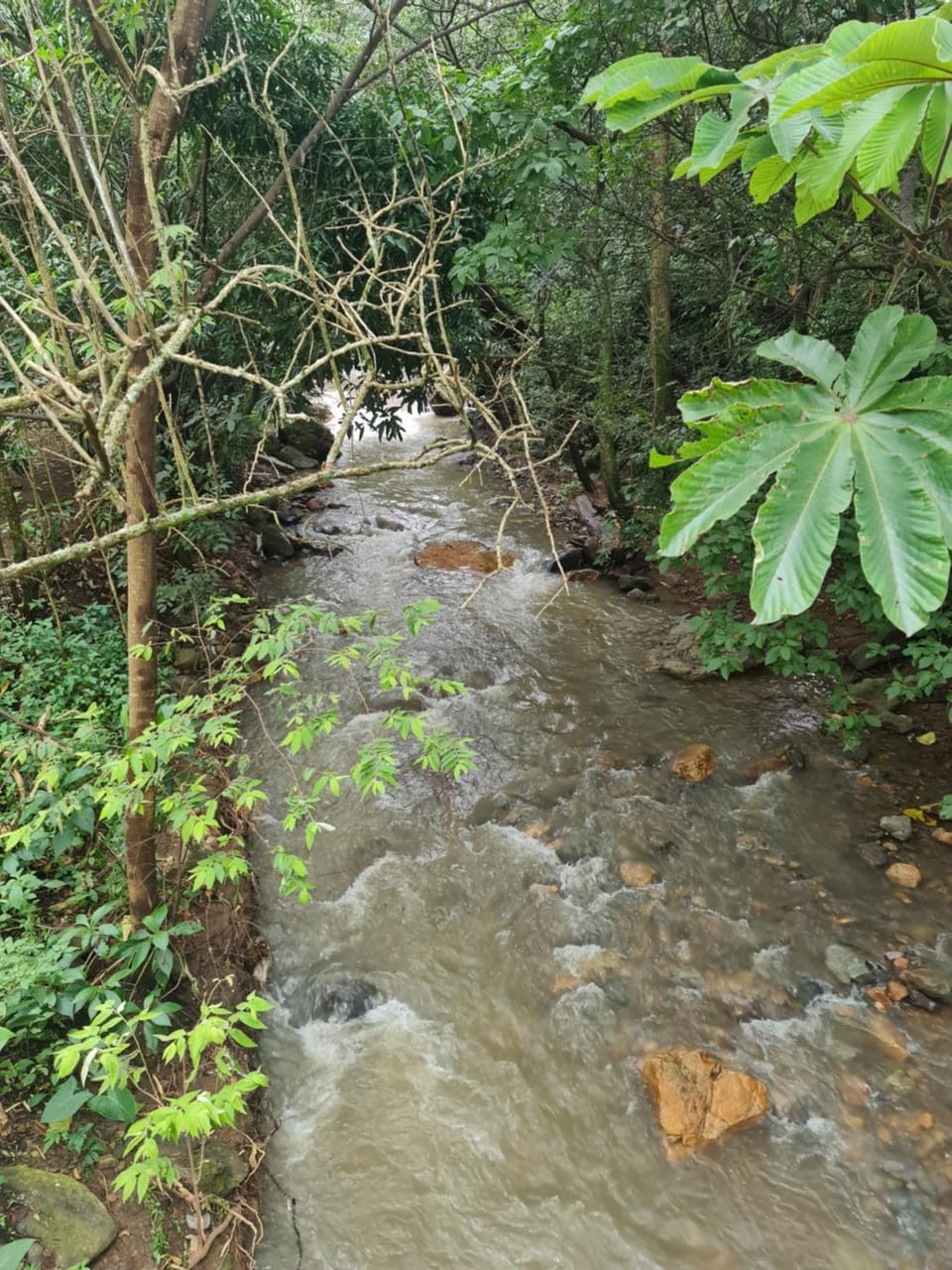 River view