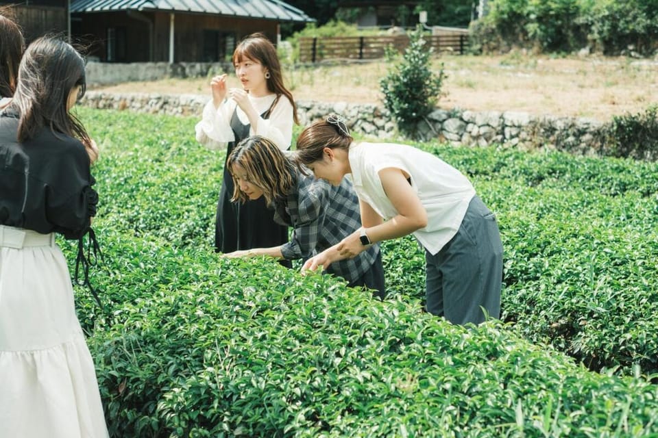 A luxurious accommodation experience surrounded by nature Apartment in Aichi Prefecture