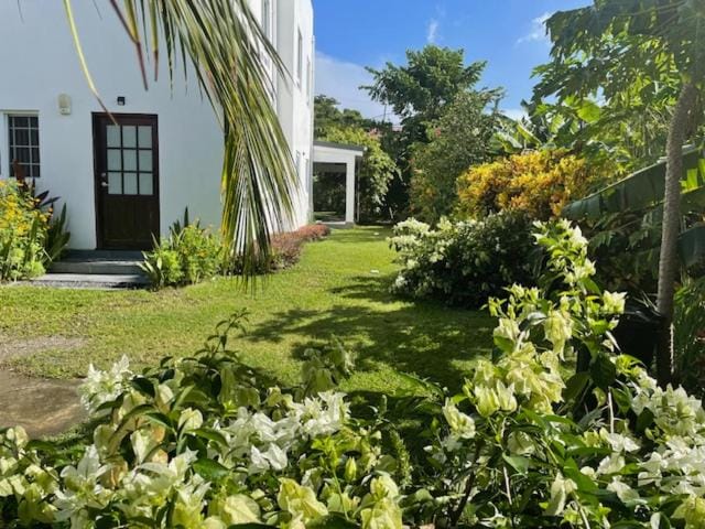 Garden view