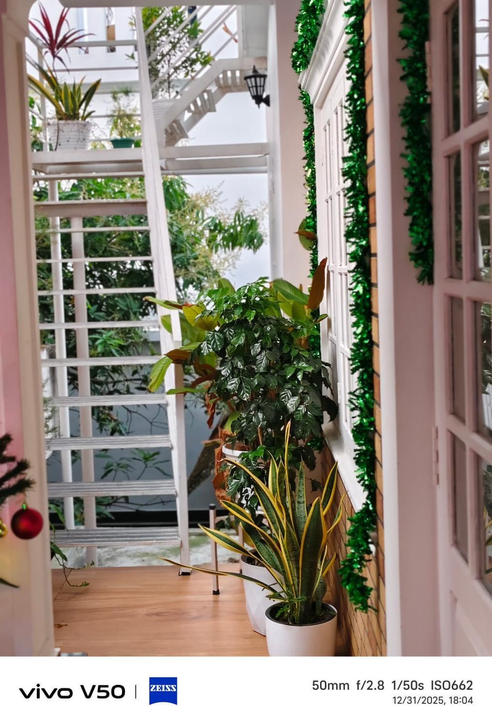 Garden view