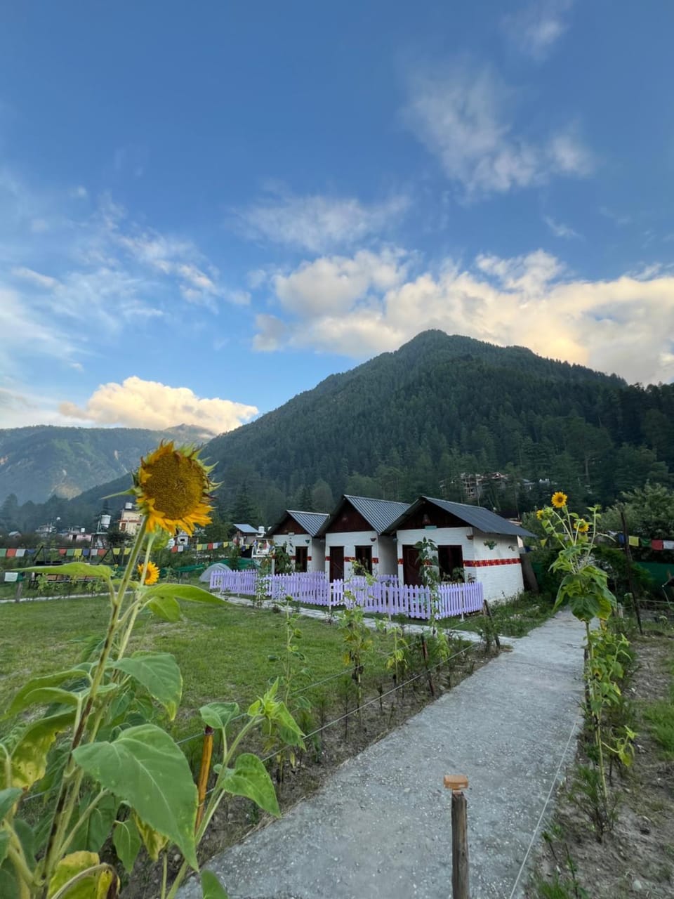 Property building, Day, Natural landscape, Garden, Garden view, Mountain view