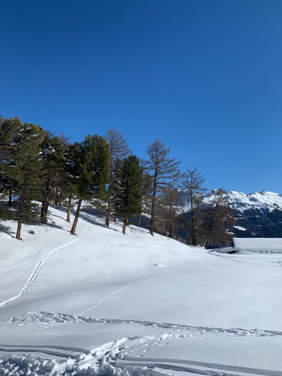 Natural landscape