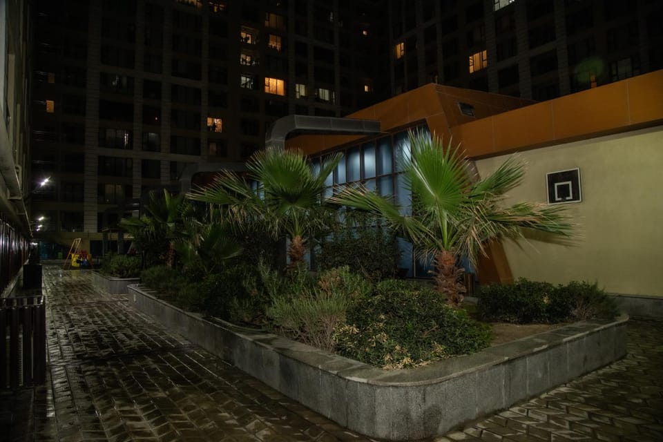 Property building, Night, Garden, Garden view