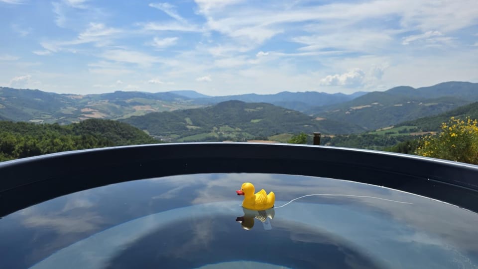 Hot Tub, Mountain view