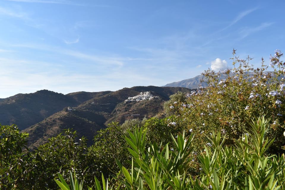 Natural landscape