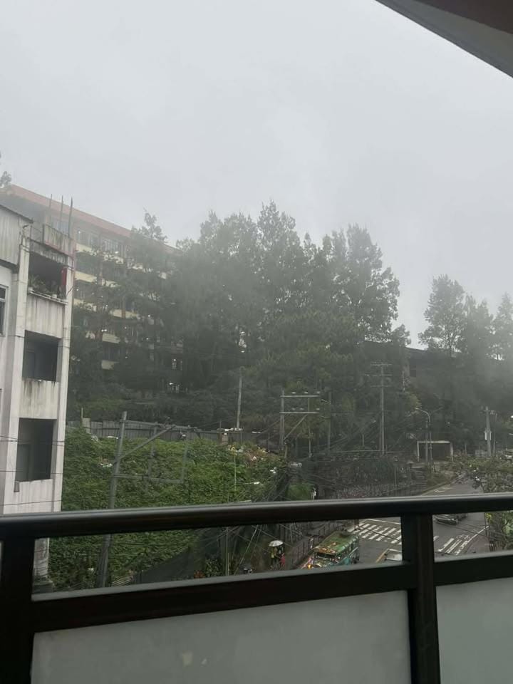 View (from property/room)